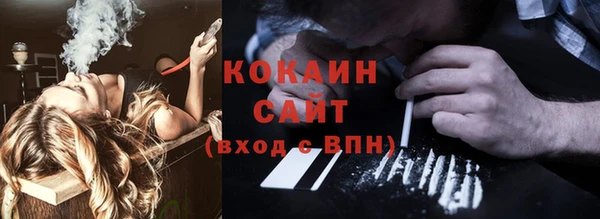 дмт Алексин