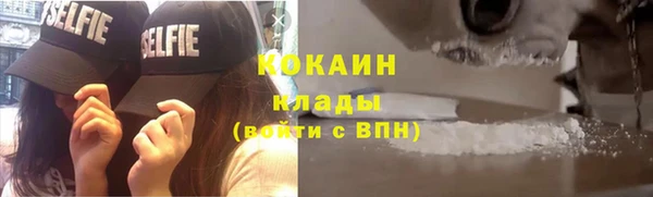 трава Няндома