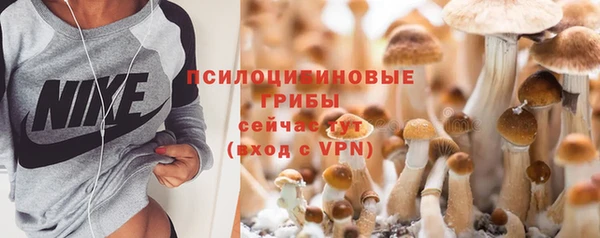 дмт Алексин